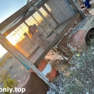 SerenityHaze420 Clips4sale Leak Breanne Fox