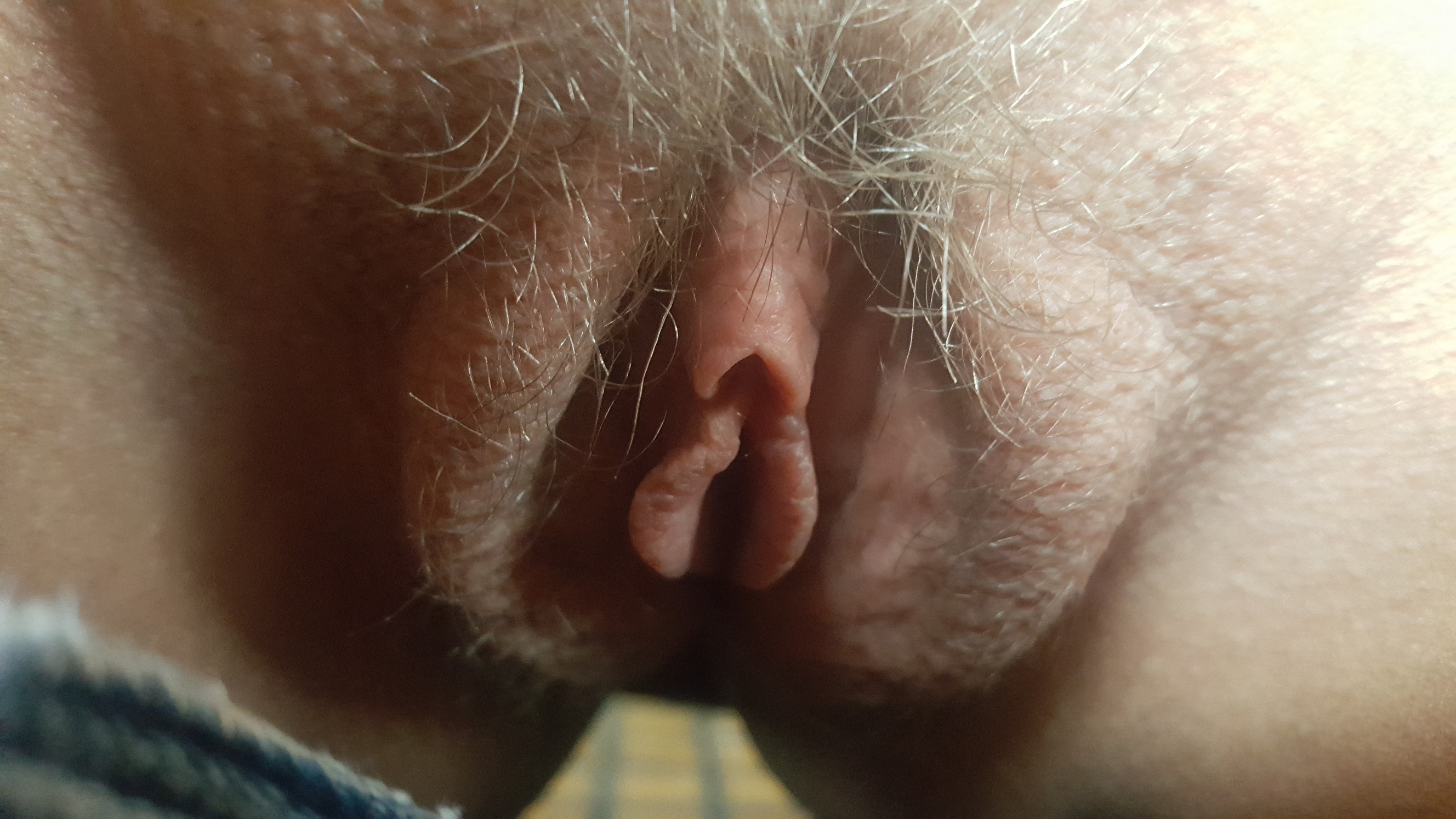 Female Orgasm 101 Preparation, Building Delivering it
